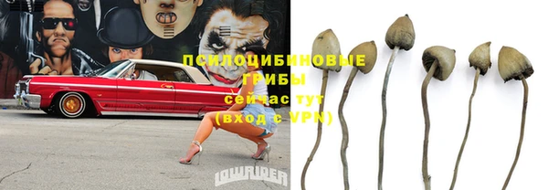 ECSTASY Баксан